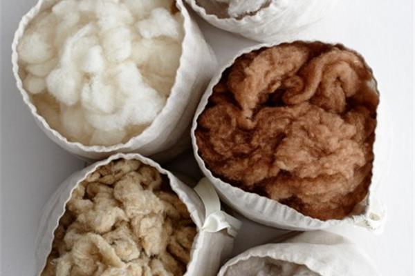 bedtime-schramm-materials